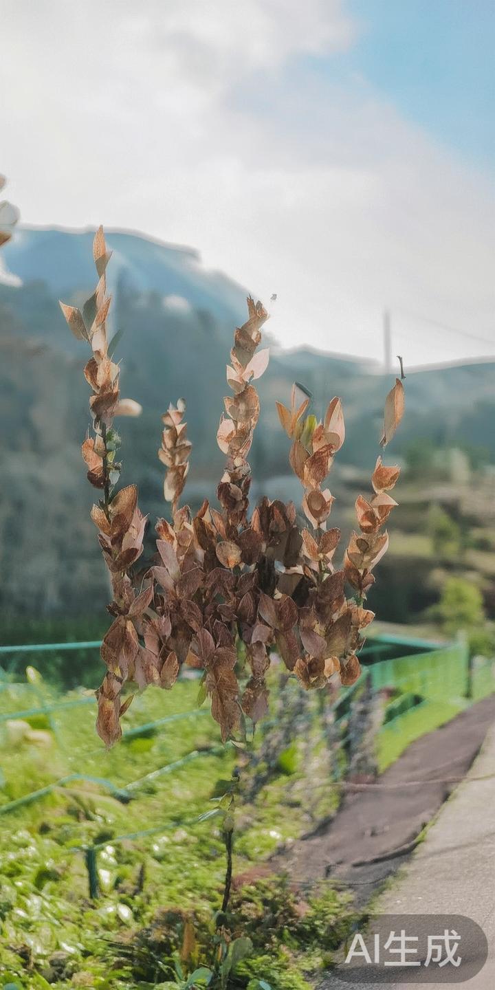 作为一款集体育赛事直播、投注、竞猜、社区交流于一体